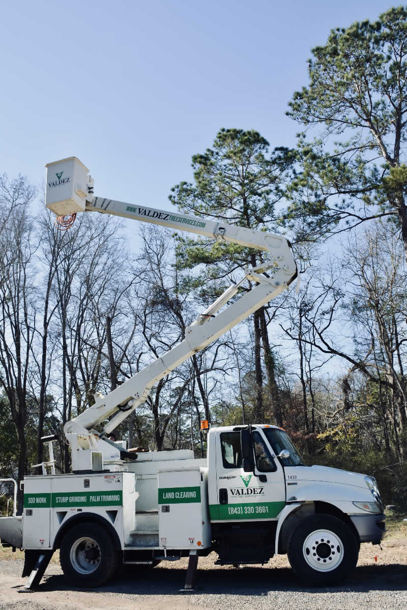 GRUA 4